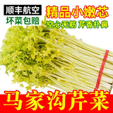 嗯嗯乐山东青岛特产正宗马家沟空心芹菜有机嫩芯大黄叶蔬菜精品菜芯 经典玻璃翠菜心2斤礼盒装