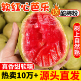 探味君 广西红心芭乐番石榴 新鲜水果生鲜健康轻食带箱 软糯红心芭乐净重2.8斤