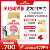 皇家猫粮 英短幼猫粮 BSK38 4-12月 10KG