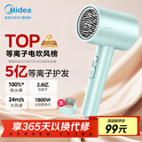 美的（Midea）5亿等离子护发电吹风 家电国家补贴吹风筒 1800W大功率 负离子吹风机 FJ308 节日/生日礼物推荐