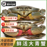 棠鲜生【包活到家】广东正宗膏油黄油蟹 鲜活特大节年货送礼海鲜礼盒 【1只膏油黄油蟹】（6-7两）