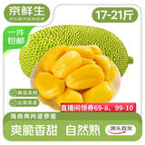 京鲜生 海南菠萝蜜 17-21斤 净重17斤+生鲜水果 源头直发