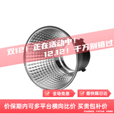 永诺（YONGNUO） YN LUX100 PRO手持外拍灯摄影灯120W手持外拍灯 龙鳞反光罩（增量）