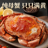 弹指鲜生熟冻面包蟹 100%母蟹英国进口黄金蟹大号螃蟹海蟹黄道蟹生鲜蟹类 【超大满黄】1只2-1.6斤净重
