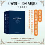 世界十大文学名著：安娜·卡列尼娜 （上下册） 小说