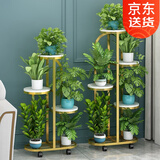 索尔诺（SuoErnuo） 花架时尚客厅落地式置物架阳台布置简约现代花盆架植物摆放花架 金色-四层五盆【高81.5cm】