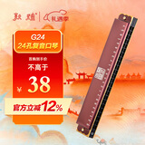 敦煌 盘古臻艺 24孔复音口琴 豆沙色G24 C调  初学推荐