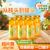 辣妹子桔片爽水果罐头橘子糖水罐头 年货休闲零食家庭量贩装260g*6瓶