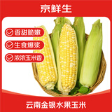 京鲜生 云南水果玉米 净重3斤 香甜多汁金银甜棒子新鲜蔬菜 源头直发