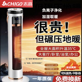 志高（CHIGO）取暖器暖风机智能语音加湿冷暖两用一体2026新款立式石墨烯取暖器全屋大面积取暖节能省电取暖器 智能语音款 白色【加湿喷雾+负离子+12H定时】