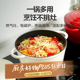 乐扣乐扣（LOCK&LOCK）珐琅铸铁锅双耳汤锅炖锅奶锅煮锅煮面煲汤电磁炉煤气灶白色24cm