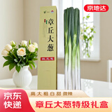 京地达正宗山东章丘大葱10斤礼盒  葱白长约55cm送礼用蔬菜源头直发包邮