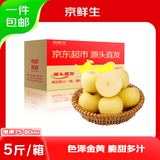 京鲜生山东奶油富士苹果 净重5斤 单果75-80mm 生鲜水果 源头直发包邮