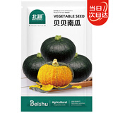 北蔬 南瓜种子苗贝贝甜糯板栗味小型杂交南瓜菜种籽 贝贝南瓜种子30粒