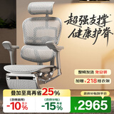 Ergonor保友金豪E2/金豪E2 Pro 高端人体工学椅 电脑椅办公椅家用电竞椅 【金豪E2】银白网+躺舒宝 整椅发货 送货上门