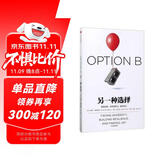 【罗振宇推荐】另一种选择 直面逆境，培养复原力，重拾快乐 中信出版社