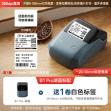 精臣 B1智能标签打印机生产日期商品合格打价格条码服装吊牌热敏不干胶姓名贴纸手持小型超市价签商用 300dpi高清B1Pro湖蓝+送1卷四防白色标签