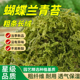 花大师青苔水苔蝴蝶兰专用土干苔藓兰花营养土植料盆栽铺面天然种植透气 特优青苔200g 长绒苔藓 散开12升