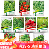 花沃里10款蔬菜种子套装1 萝卜种子白菜生菜番茄油麦朝天椒阳台庭院种籽