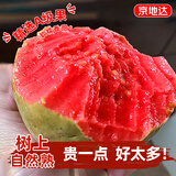 京地达软糯红心芭乐净重8.5斤大果单果100g+ 香甜孕妇新鲜水果源头直发