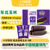 十月稻田 黑糯玉米 8根 3.2斤 代餐早餐 真空包装 花青素 杂粮礼盒