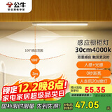 公牛（BULL）感应橱柜灯衣柜灯LED人感光感磁吸 卧室床沿玄关小夜灯30CM4000K