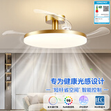 雷士（NVC）风扇灯餐厅吊扇灯led卧室北欧客厅灯三防 全光谱护眼 枕边风 奢金智控60W/全光谱/IP65三防