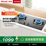 林内（Rinnai）燃气灶【家电国家补贴20%】5kW大火力双眼猛火灶具家用嵌入式钢化玻璃天然气一级能效 2E07M