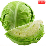 京地达山东青甘蓝 净重4.5斤 单果200g+绿包菜球圆白菜  源头直发包邮