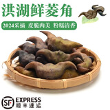 【正宗】洪湖鲜菱角 新鲜老菱角 湖北特产 根茎类蔬菜生鲜 新鲜老菱角 5斤【家庭装】
