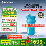 滨特尔（pentair）大白瓶前置过滤器 全屋家用自来水过滤器 前置净水器大蓝瓶 中央净水机大流量大胖瓶高精度 【10寸大蓝瓶】包安装