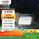 公牛（BULL）LED投光灯户外庭院工厂园林灯露营灯 IP65防水等级30W-6500K白光