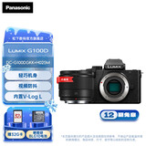 松下（Panasonic）G100D 微单/单电/无反学生入门数码照相机 vlog拍摄 自拍翻转屏 三麦克风多方位收音 M4/3画幅 G100D丨【25mmF1.7】白盒定焦套装