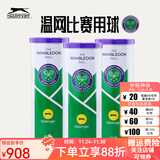Slazenger史莱辛格网球温网官方用球铁罐训练网球高级比赛球耐磨豹子球 新包装铁罐340981 3粒装 24筒 整箱