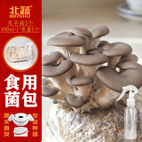 北蔬蘑菇种植包灰平菇菌种可食用菌包 小号灰平菇菌包5个源头直发包邮