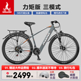 凤凰（Phoenix）锂电池助力电动自行车26寸成人新国标电动车长续航电瓶车 599灰色-7速辐条轮-5档力矩传感 15AH电动续航45公里