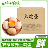 云依禾农庄鸡蛋农家散养土鸡蛋 山林草鸡蛋新鲜现捡柴鸡蛋 单枚40g±5g 【散养土鸡蛋】30枚