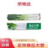 京地达正宗山东章丘大葱4.5斤礼盒 鲜叶蔬菜地方特产源头直发包邮
