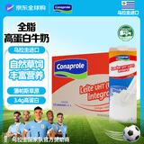 科拿（Conaprole）南美进口全脂纯牛奶1L*12盒 来自乌拉圭全家营养早餐优质乳蛋白 