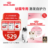 皇家幼猫猫粮 幼猫奶糕 K36 通用粮 4-12月 10KG