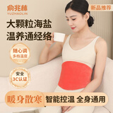 俞兆林盐袋热敷包海盐热敷袋理疗袋电加热肩颈腰部热敷艾灸艾草暖宫腰带