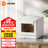 米家小米智能蒸烤箱 20L 家用蒸烤空气炸三合一体机 台式大容量多功能 智能食谱烘焙 米家智能蒸烤箱 20L