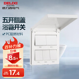 德力西（DELIXI） 86型浴霸开关 通用五开浴室防水面板 五合一风暖换气照明开关 五开翻盖白色【双电机】