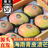 春福乐 【顺丰速运】海南三亚青皮澳芒 现摘芒果新鲜水果礼盒装 大果5斤丨时令尝鲜丨单果350+ 陆运一级果【性价比推荐】