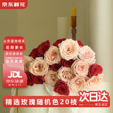京东鲜花玫瑰花随机色20枝(随机2种配色)如意基地鲜切花生活花束源头直发