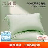 太湖雪枕套一对装A类100%兰精天丝面料莱赛尔抗菌床单隔脏被单 春竹绿枕套*2【48x74cm】 A类抗菌100%天丝面料 48cm*74cm