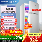 荣事达（Royalstar）小冰箱 租房用小型家用双门电冰箱宿舍冷藏冷冻两用节能 42A126【一级能效】【三天约一度电】银