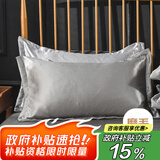 艾薇 冰丝枕套夏季枕头套凉席枕套一对装 冰丝灰 48*74cm