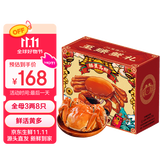 【活蟹】漁家师傅大闸蟹全母3.0-3.3两8只去绳足重鲜活螃蟹现货生鲜水产海鲜礼盒