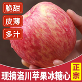 正宗陕西洛川红富士苹果水果新鲜冰糖心脆甜一整箱 9斤果径80-85mm